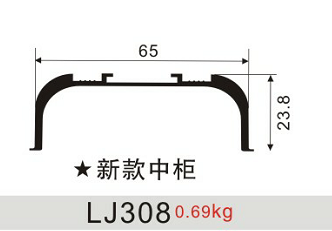 LJ308